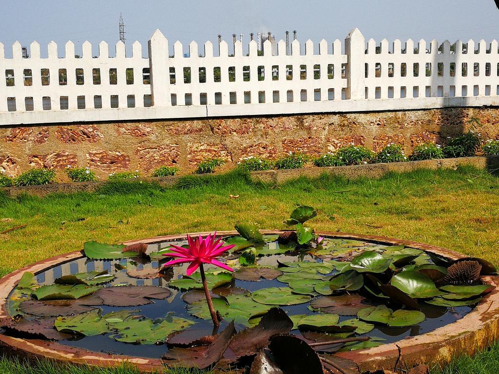Nisarga Nirvana River House Mangalore Bagian luar foto